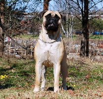 Hilma 14 kk/months